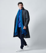 画像をギャラリービューアに読み込む, 【junhashimoto】BIG STOLE